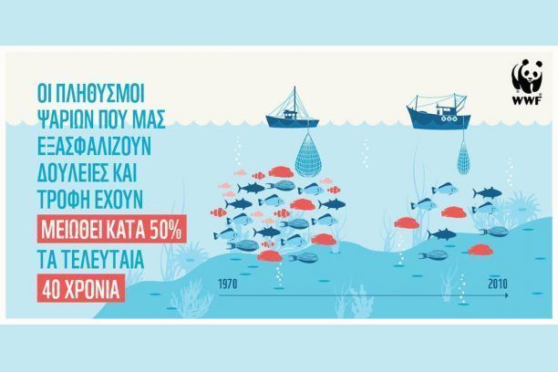 Έρευνα αποκαλύπτει: 50% της θαλάσσιας ζωής έχει εξαφανιστεί!