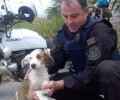 Πάτρα: Ο αστυνομικός υιοθέτησε τον σκύλο που τον βρήκε να τρέχει στην Εθνική Οδό