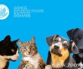 Δήμος Νάουσας: Χαρακτηριστικά περιλαίμια για τους στειρωμένους, εμβολιασμένους αδέσποτους σκύλους