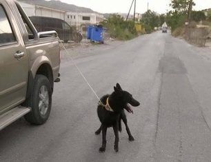 Ηράκλειο Κρήτης: Έσερνε τον σκύλο πίσω από το αγροτικό για να μην λερώσει την καρότσα του Ι.Χ.