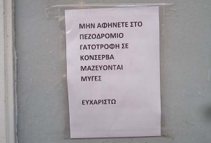 Ηράκλειο Κρήτης: Ζητάει να μην ταΐζουν τις γάτες επειδή τον ενοχλούν οι μύγες στο πεζοδρόμιο…