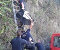 Καβάλα: Οι πυροσβέστες έσωσαν το σκυλί κόβοντας τα σύρματα