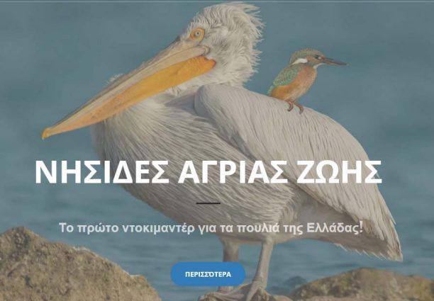 «Nησίδες Άγριας Ζωής»: Ένα ντοκιμαντέρ που χρειάζεται την βοήθεια μας για να ολοκληρωθεί
