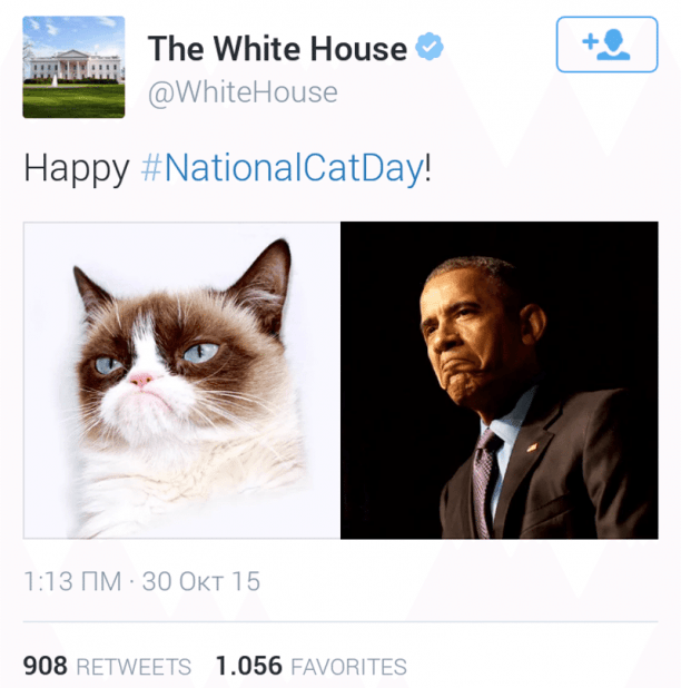 Ο Μπάρακ Ομπάμα αυτοσαρκάζεται και γιορτάζει την Αμερικανική Ημέρα Γάτας