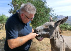 Πρόγραμμα δωρεάν φροντίδας ιπποειδών από την Φιλοζωική Κρήτης τον Απρίλιο 2016