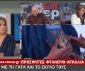 Το zoosos.gr OnEPT με αφορμή την Παγκόσμια Ημέρα των Ζώων (βίντεο)