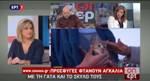 Το zoosos.gr OnEPT με αφορμή την Παγκόσμια Ημέρα των Ζώων (βίντεο)