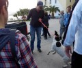 Στις 30-3-2017 θα εκδικαστεί η έφεση του διαχειριστή του Δημοτικού Κυνοκομείου Βόλου για την κακοποίηση σκυλιών στις Γλαφυρές