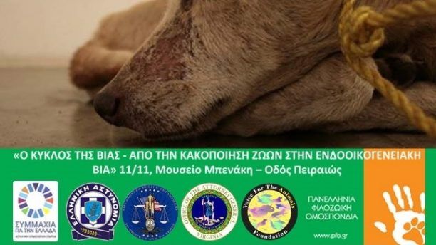 Παρακολουθήστε ζωντανά την ημερίδα για την κακοποίηση των ζώων (βίντεο)