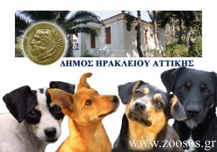 Ο Δήμος Ηρακλείου Αττικής βραβεύτηκε για τη διαχείριση των αδέσποτων