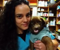 Χανιά: Πρωτοποριακή χειρουργική επέμβαση έσωσε τον σκύλο που κάποιος χτύπησε διαλύοντας του τη γνάθο