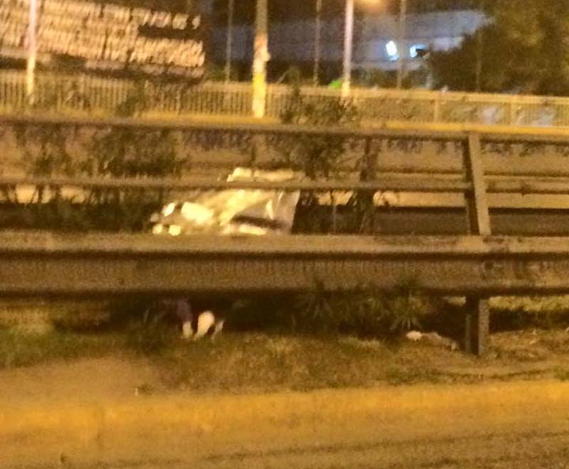 Γάτα ζει στο διάζωμα της Λ. Συγγρού από τότε που γεννήθηκε! Ποιος θα τη σώσει; 3 GataLSygrouDiazoma (2)
