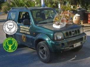 Λέρος: Εντόπισαν σε καταστήματα πώλησης ζώων άγρια πουλιά προς πώληση και ξόβεργες