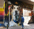 Πρόσκληση για φωτογράφηση στη μνήμη του Λουκάνικου στου Ψυρρή στο πορτραίτο του διάσημου «διαδηλωτή» σκύλου