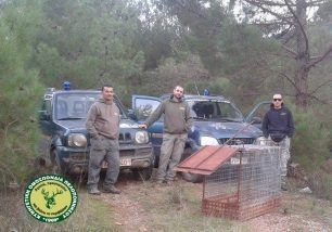 Βρήκαν παγίδα - κλουβί που κυνηγός είχε τοποθετήσει για αγριογούρουνα στο Λεβίδι Αρκαδίας