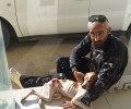 Ηράκλειο Κρήτης: Και τραυματισμένο και πυροβολημένο το σκελετωμένο Πόιντερ