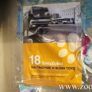 DiamartyriaSyntagma18 12 2015 0