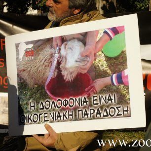 DiamartyriaSyntagma18 12 2015 14