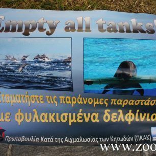DiamartyriaSyntagma18 12 2015 21