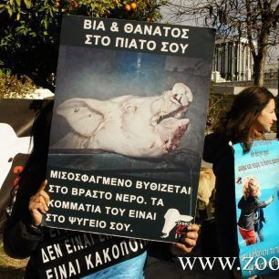 DiamartyriaSyntagma18 12 2015 23