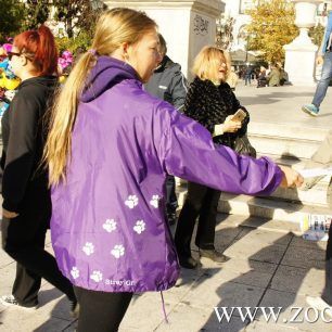 DiamartyriaSyntagma18 12 2015 27