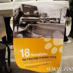 DiamartyriaSyntagma18 12 2015 3