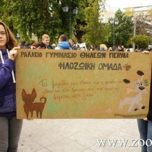 DiamartyriaSyntagma18 12 2015 4