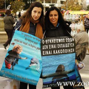 DiamartyriaSyntagma18 12 2015 9
