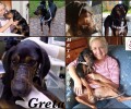 Γερμανίδα υιοθέτησε τον σκύλο που εγκαταλείφθηκε στην Καβάλα φορώντας φίμωτρο