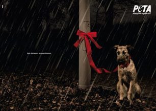 PETA: Τα ζώα δεν είναι δώρα που επιστρέφονται!