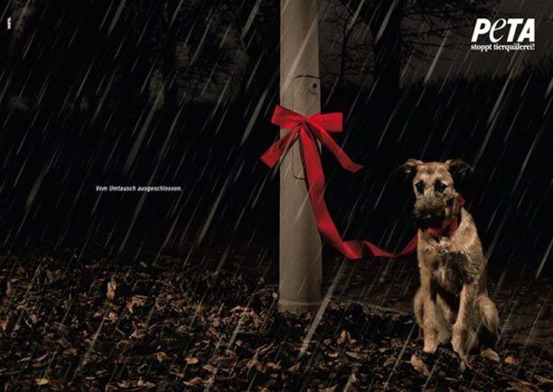 PETA: Τα ζώα δεν είναι δώρα που επιστρέφονται!