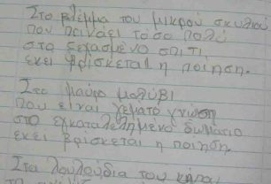 Μαθήτρια ετών 9: Η ποίηση βρίσκεται στο βλέμμα του μικρού σκυλιού που πεινάει