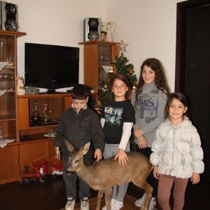 ZarkadiKerkini12 2015 2