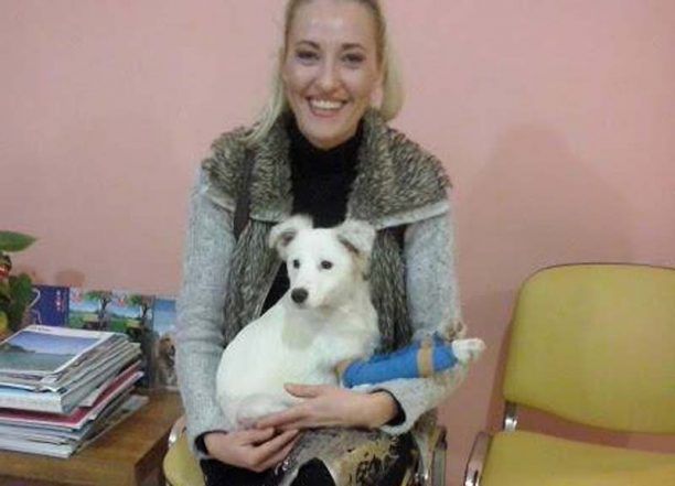 Υιοθέτησε την σκυλίτσα που ο ιδιοκτήτης της ξυλοκόπησε και πέταξε από το μπαλκόνι στο Άργος