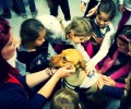 Άξελ: Ένα κακοποιημένο σκυλί που πλέον μαθαίνει στα παιδιά να καταλαβαίνουν τα ζώα