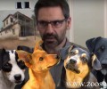 Δήμαρχος Κοζάνης: Μόνο 80 σκυλιά πέθαναν εντός του Δημοτικού Κυνοκομείου  ψευδή & συκοφαντικά τα στοιχεία της Π.Φ.Π.Ο. (βίντεο)