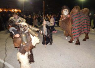 Πετρούσα Δράμας: Χρησιμοποίησαν καμήλα για να τηρήσουν το έθιμο ενώ ο νόμος το απαγορεύει