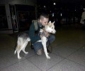 Έλληνας που διαμένει στην Γερμανία υιοθέτησε τον σκύλο ο οποίος πυροβολήθηκε εξ επαφής στην Ναύπακτο