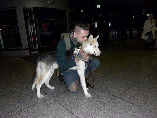 Έλληνας που διαμένει στην Γερμανία υιοθέτησε τον σκύλο ο οποίος πυροβολήθηκε εξ επαφής στην Ναύπακτο