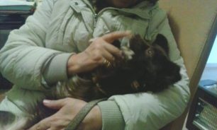 Στο νέο της σπίτι από σήμερα η πιστή σκυλίτσα που συγκίνησε το Πανελλήνιο μετά την εγκατάλειψη της στα Χανιά!