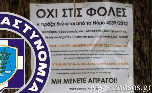 Συνέλαβαν την γυναίκα που εντοπίστηκε να βάζει φόλες στο Ελληνικό Αττικής