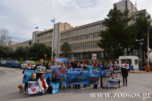 Διαμαρτυρήθηκαν για την αιχμαλωσία και την κακοποίηση των δελφινιών και στην Ελλάδα (βίντεο)