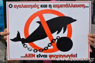 Διαμαρτυρία για το παράνομο δελφινάριο & τα έγκλειστα δελφίνια στο Αττικό Ζωολογικό Πάρκο στα Σπάτα στις 6/5