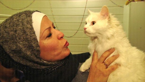 Στην αγκαλιά της οικογένειας του στη Νορβηγία ο πρόσφυγας γάτος από το Ιράκ που είχε χαθεί στη Λέσβο! (βίντεο)