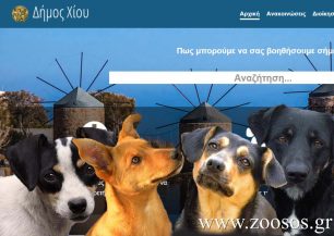 Στειρώσεις αδέσποτων σκυλιών πραγματοποιεί και το 2016 ο Δήμος Χίου