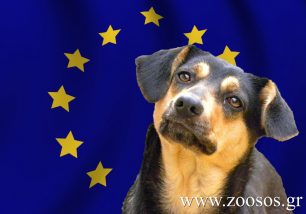 Ψήφισμα στο Ευρωπαϊκό Κοινοβούλιο για την καταπολέμηση της παράνομης διακίνησης κατοικίδιων ζώων