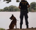 Την ομάδα των 188 σκύλων της παρουσιάζει η Ελληνική Αστυνομία (βίντεο)
