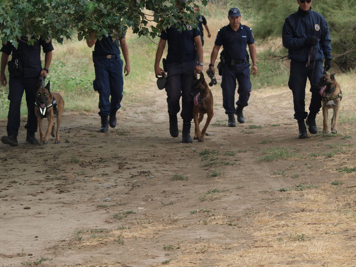 Αποτέλεσμα εικόνας για Ομάδας Αστυνομικών Σκύλων της Ελληνικής Αστυνομίας