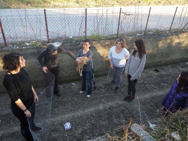 Καρδίτσα: Κατάφεραν να απεγκλωβίσουν το μικρόσωμο σκυλί που βρέθηκε σε αρδευτικό κανάλι (βίντεο)