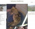 Συνεχίζουν να πεθαίνουν τα σκυλιά εντός του Δημοτικού Κυνοκομείου Κοζάνης αφού παραμένουν χωρίς περίθαλψη